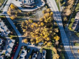 1443  Vine Road, Pemberton