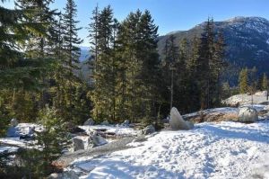 9325  Warbler Way, Whistler