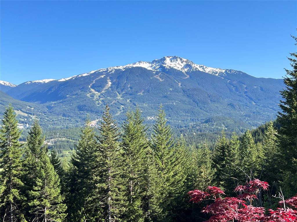 8384  Mountain View Drive, Alpine Meadows